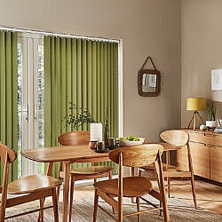 acacia olive